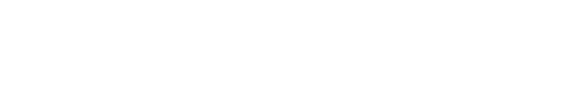 Openium Logo
